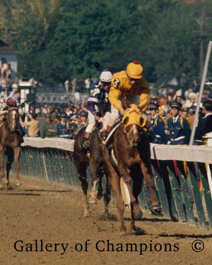 1970 Press Photo Kentucky Derby Winning Racehorse Dust Commander