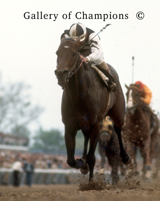 1970 Press Photo Kentucky Derby Winning Racehorse Dust Commander