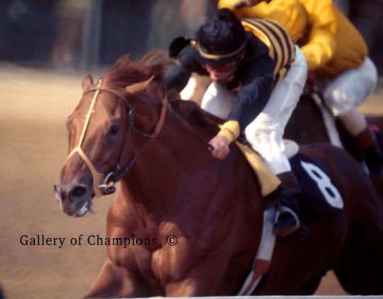 1970 Kentucky Derby Dust Commander #835 – Gallery Of Champions