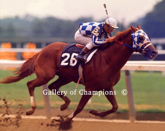 Seattle Slew Decade of Champions Secretariat Affirmed Matted Signed 