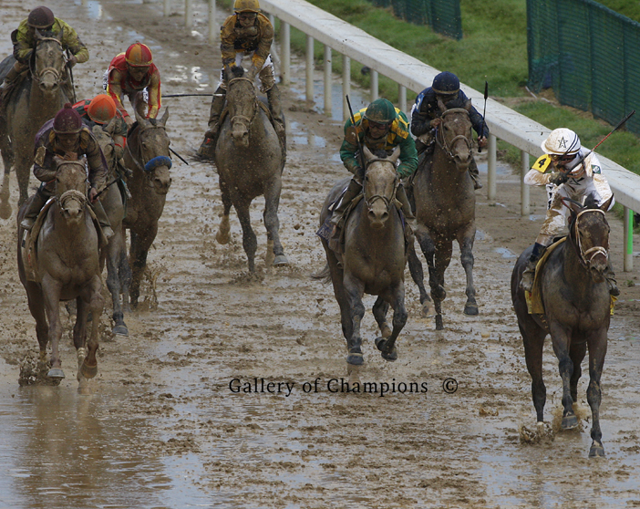 Mage 2023 Kentucky Derby Finish Photo Gallery Of Champions