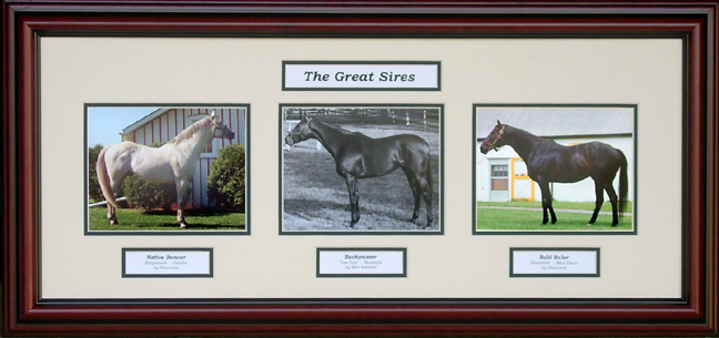 The-Great-Sires.jpg