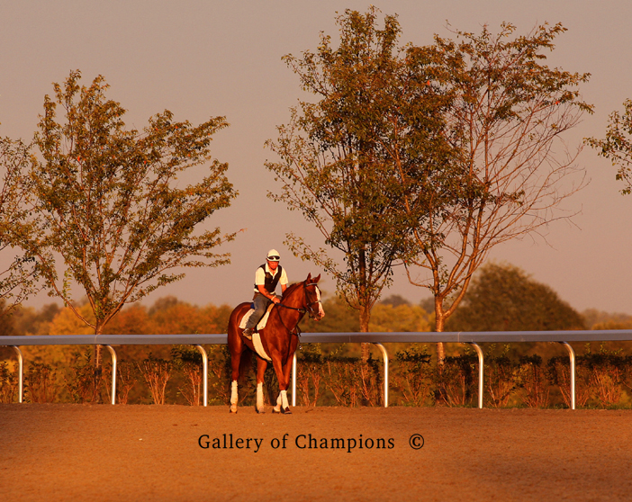 keeneland-sunrise.jpg