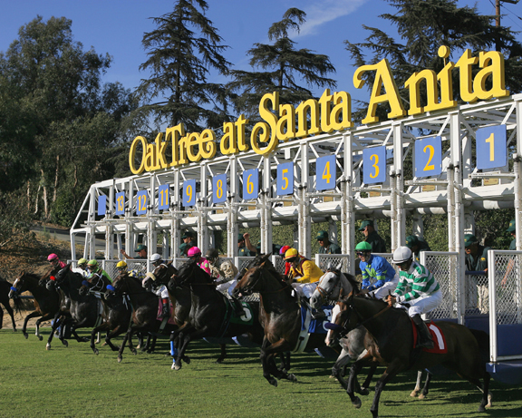 Santa-Anita-Oak-Tree-gate.jpg