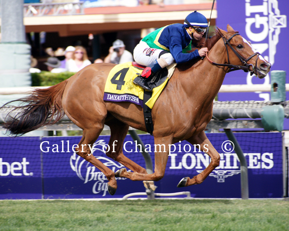 BC-Filly-Mare-Turf-2014-Dayatthe-spa-1.jpg