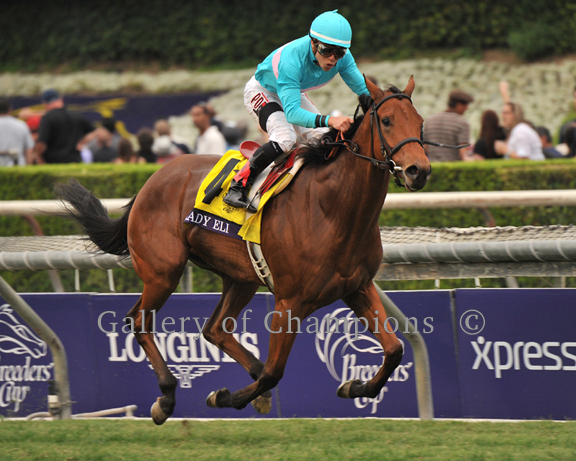 BC-Juv-Fillies-Turf-2014-Lady-Eli1.jpg