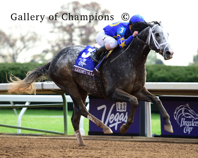 Liam’s Map Breeders’ Cup Dirt Mile Gallery Of Champions