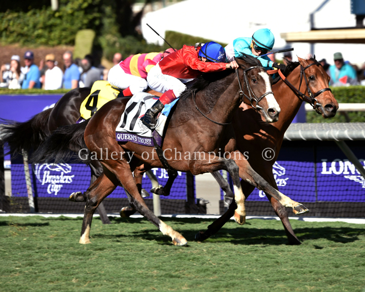 BC-Filly-and-Mare-Turf-Queens-Trust-image1.jpg