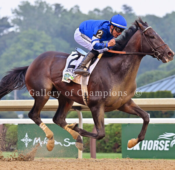 Sovereignty 2025 Belmont Stakes